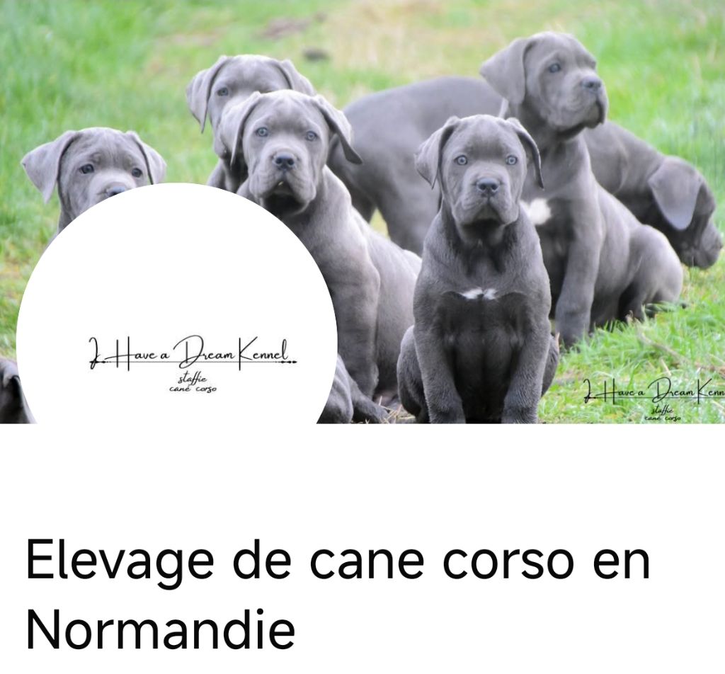page facebook