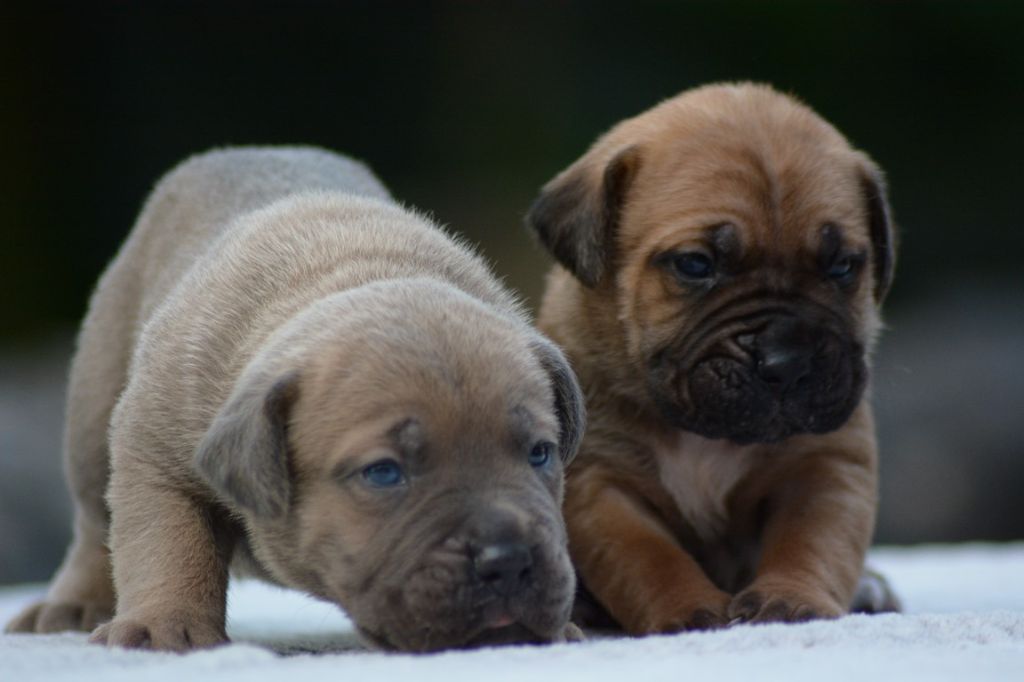 les bébés nés à la maison